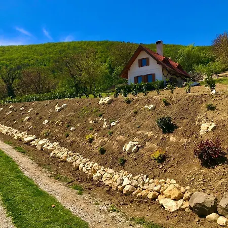 Вилла Oereghegyi Panorama Villa,