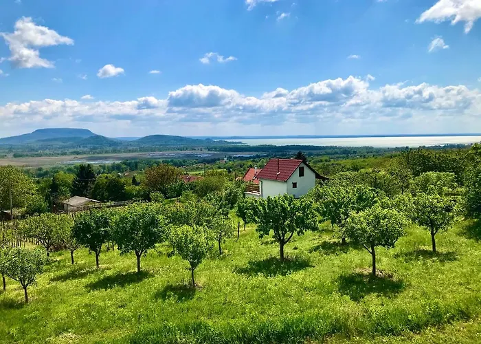 Oereghegyi Panorama Villa, *