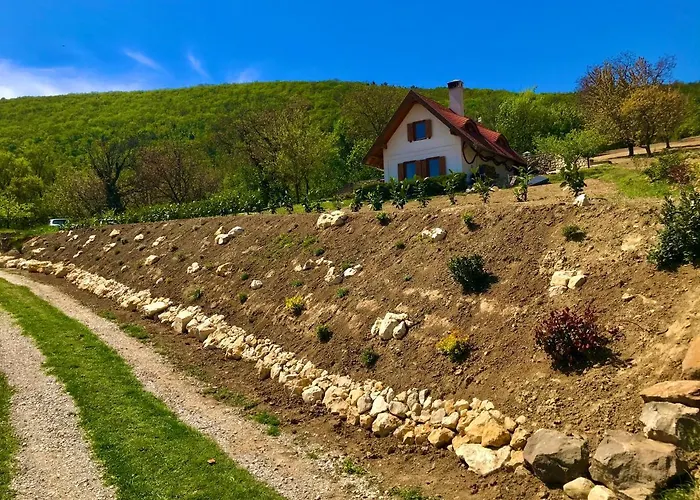 Villa Oereghegyi Panorama Villa,